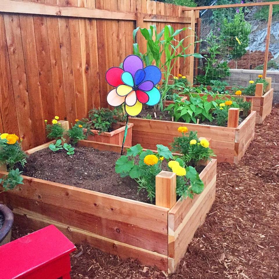Kids Self Sustaining Garden Cooking Magic For Kids